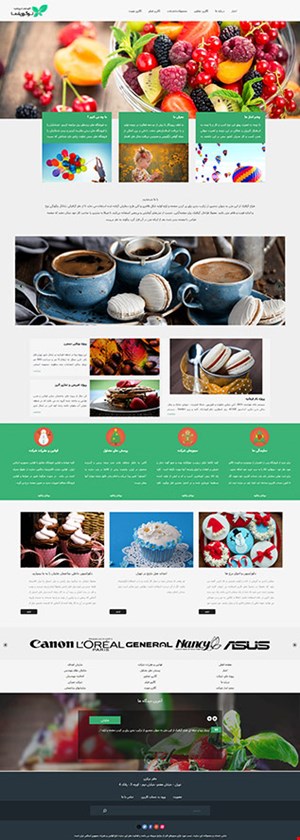 طراحی سایت شرکتی با قالب نسیم